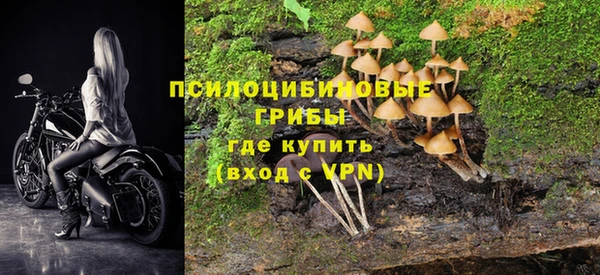 трава Алексеевка