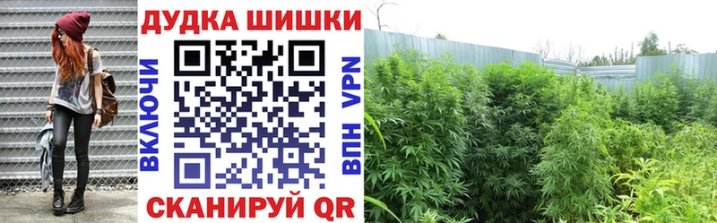 Бошки Шишки сатива Невьянск